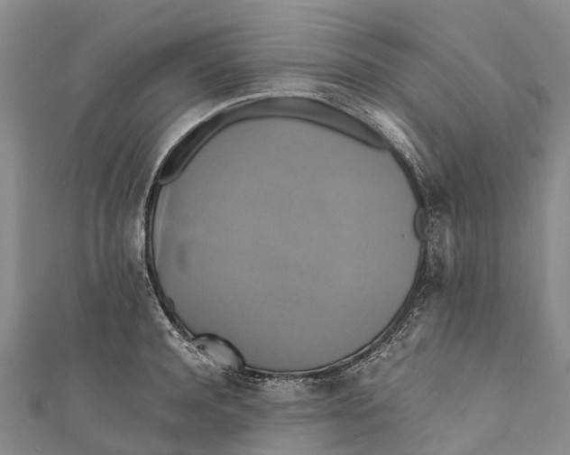 X0000110990944200907101428