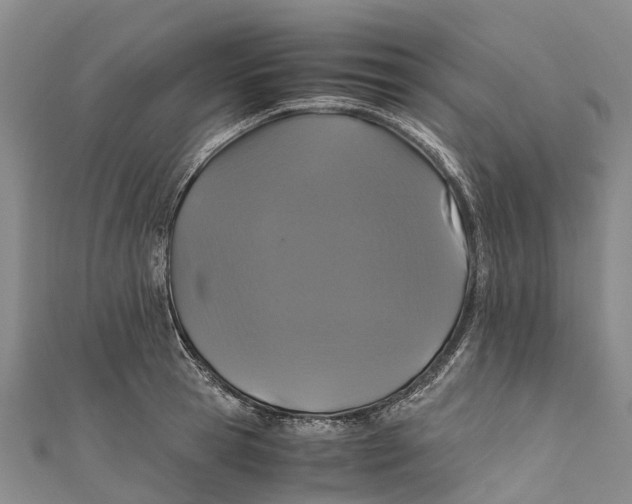X0000110990945200907101428