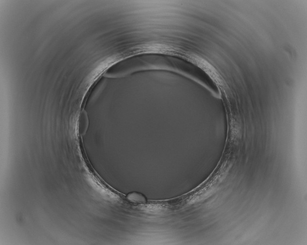 X0000110990946200907101428