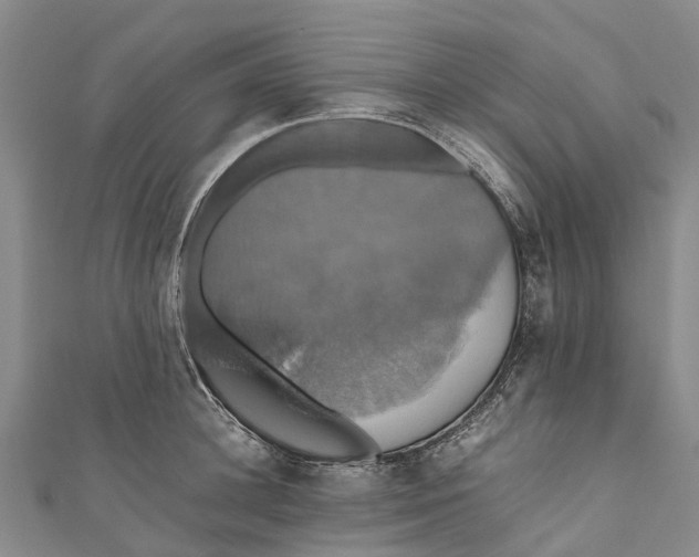 X0000110990948200907101428