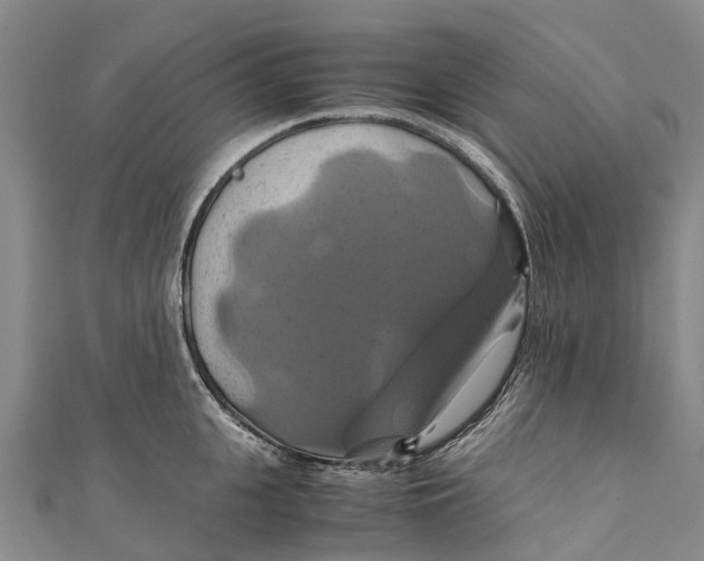 X0000110990951200907101428