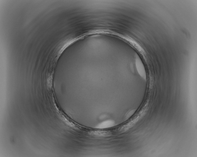 X0000110990953200907101428