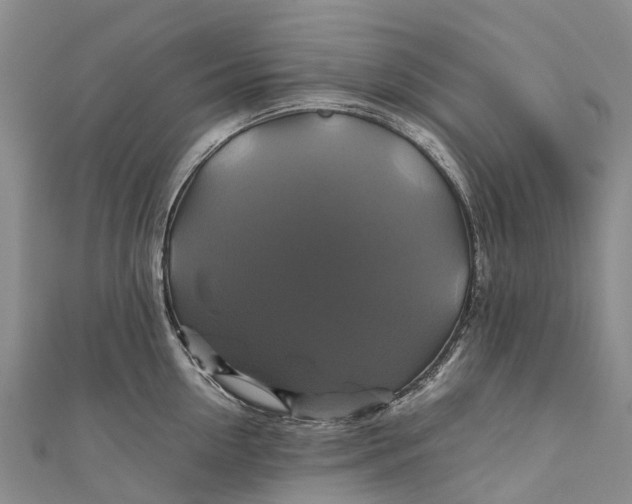 X0000110990954200907101428