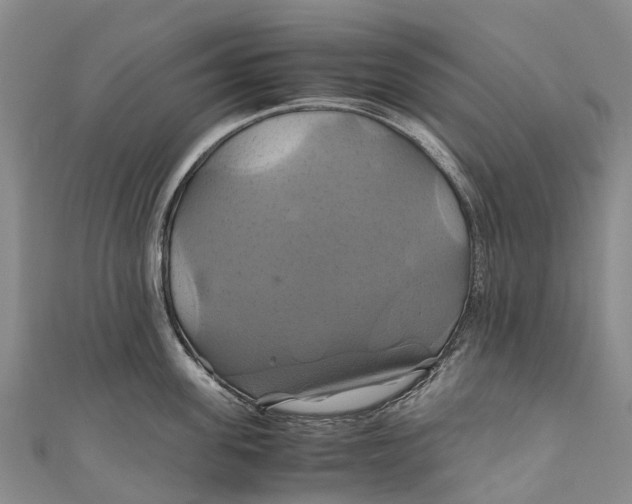 X0000110990955200907101428