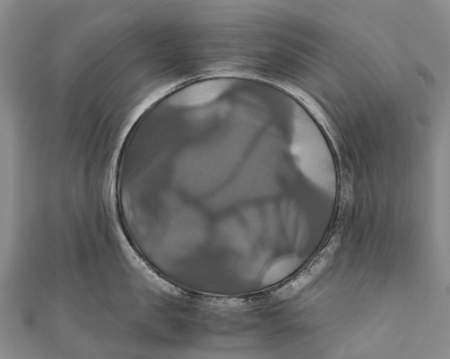 X0000110990957200907101428