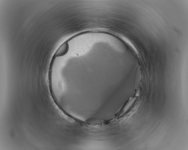 X0000110990959200907101428