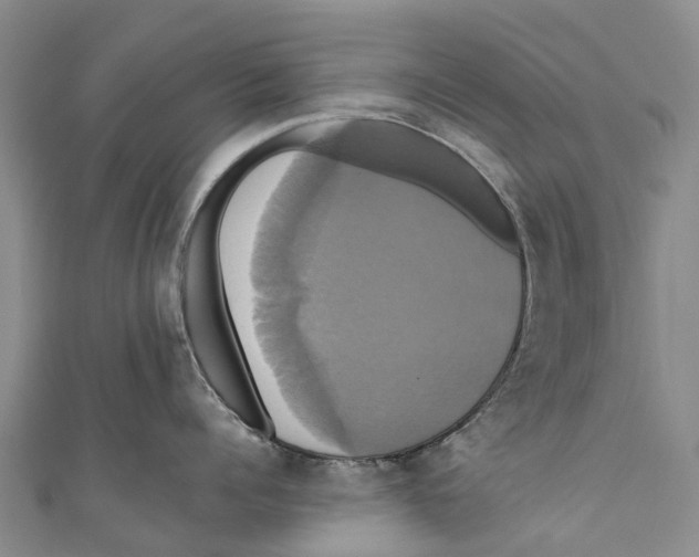X0000110990960200907101428