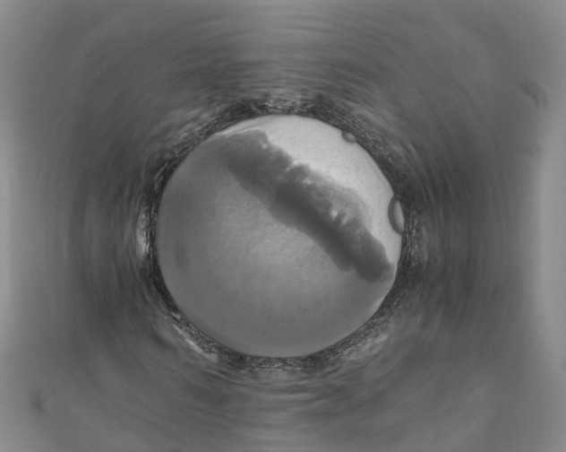 X0000110990962200907101427