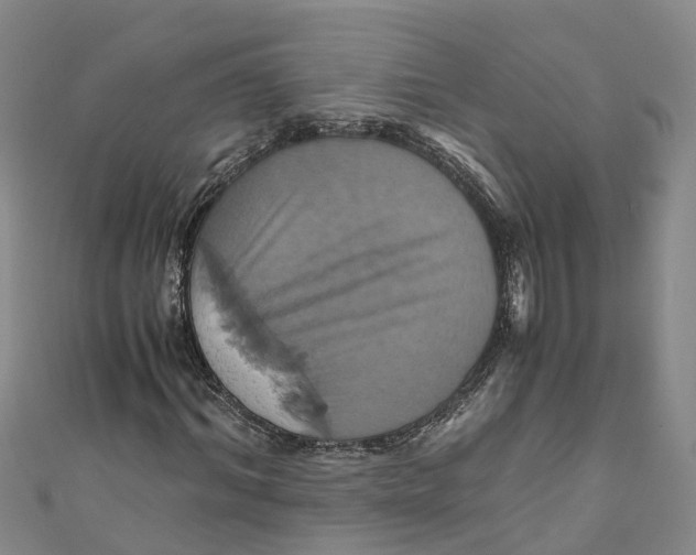 X0000110990964200907101427
