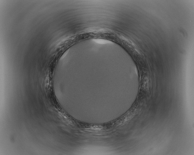 X0000110990966200907101427