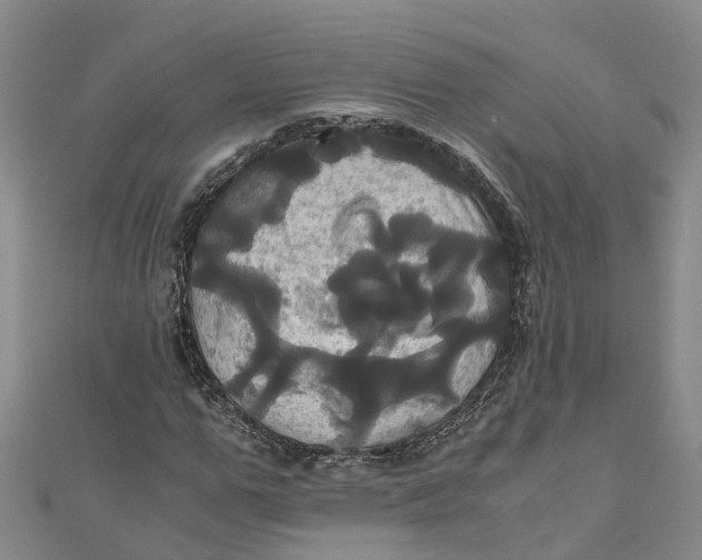 X0000110990967200907101427