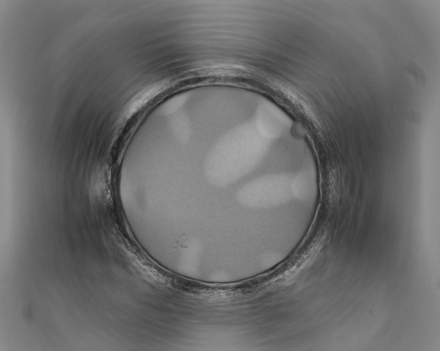 X0000110990970200907101427