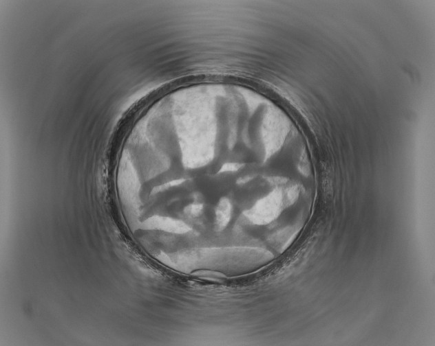 X0000110990971200907101427
