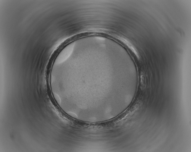 X0000110990972200907101427