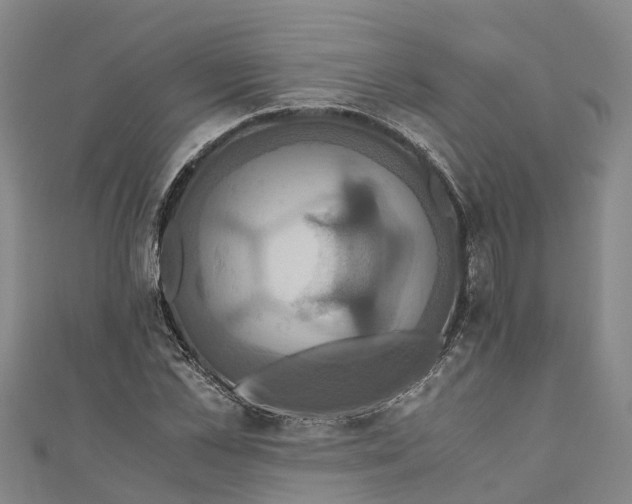 X0000110990973200907101427