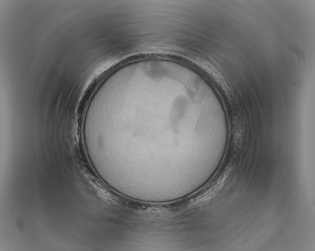 X0000110990974200907101427