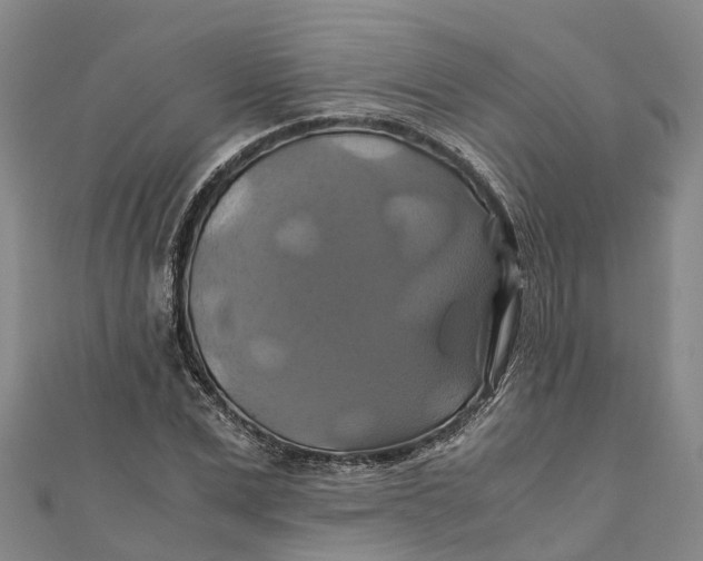 X0000110990975200907101427