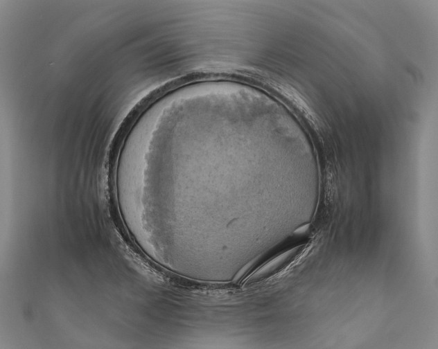 X0000110990976200907101427