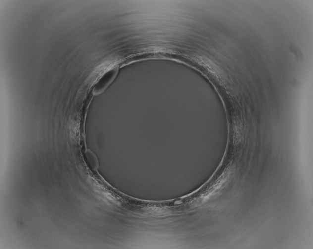 X0000110990977200907101427