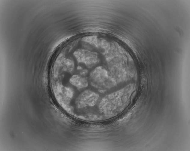 X0000110990979200907101427