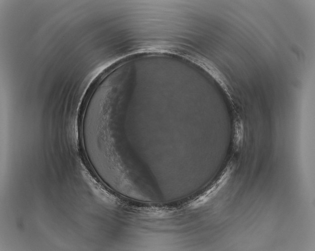 X0000110990980200907101427