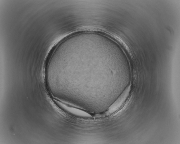 X0000110990981200907101427