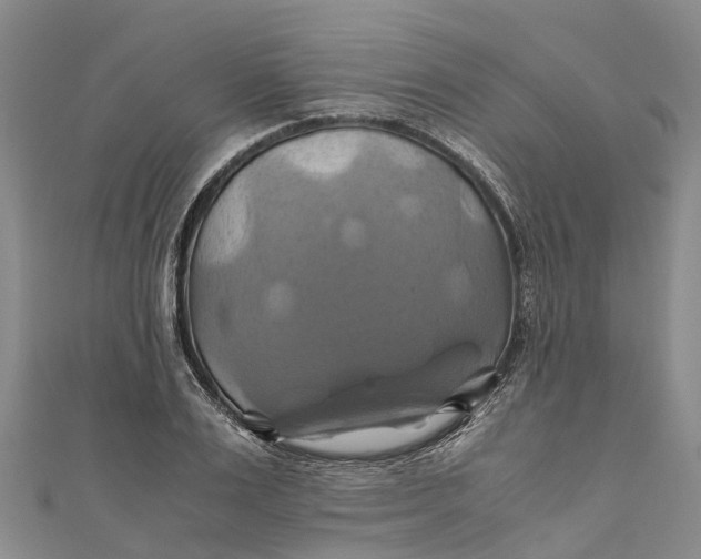 X0000110990983200907101427