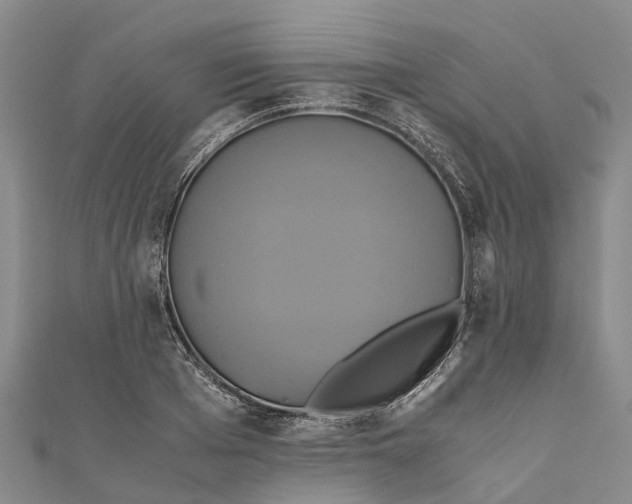X0000110990985200907101427