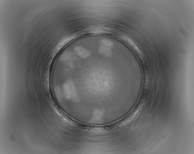 X0000110990986200907101427