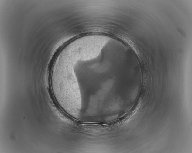 X0000110990987200907101427