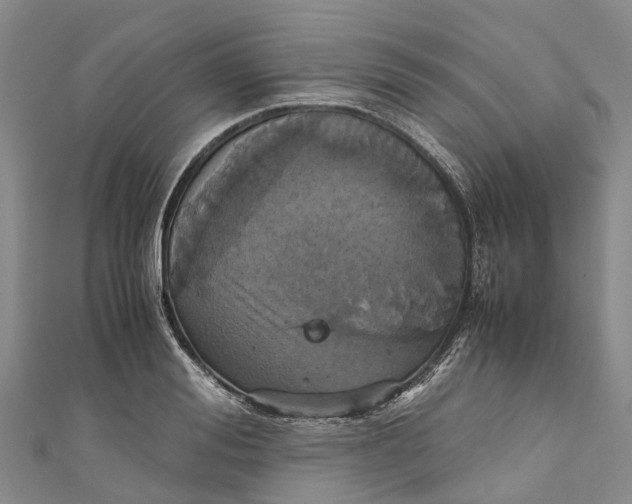 X0000110990988200907101427