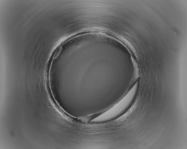 X0000110990989200907101427