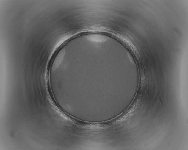 X0000110990990200907101427