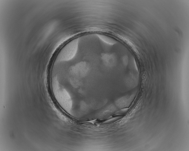 X0000110990991200907101427