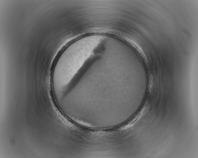X0000110990992200907101427