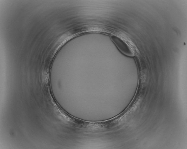 X0000110990993200907101427
