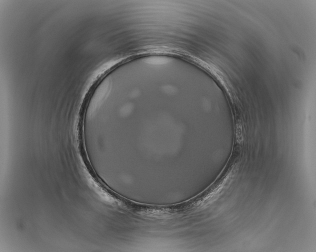 X0000110990995200907101427