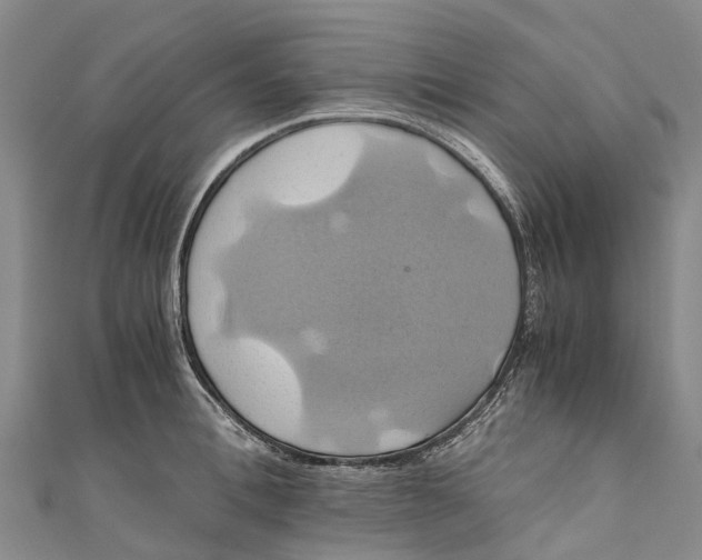 X0000110990996200907101427