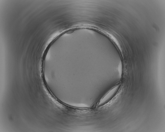 X0000110990997200907101427