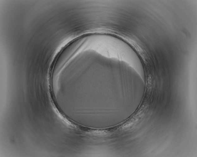 X0000110990998200907101427