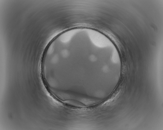 X0000110990999200907101427