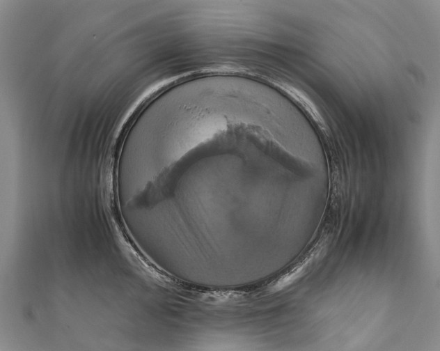 X0000110991000200907101427
