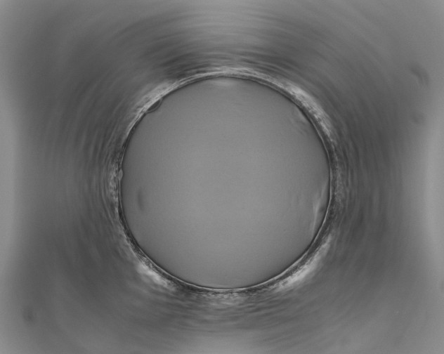 X0000110991001200907101427