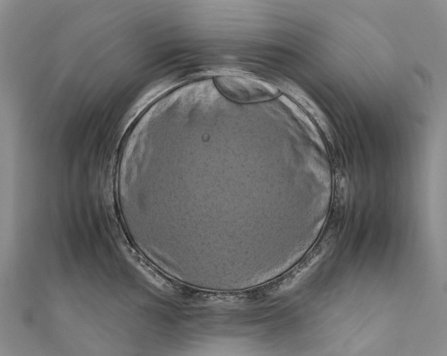 X0000110991002200907101427