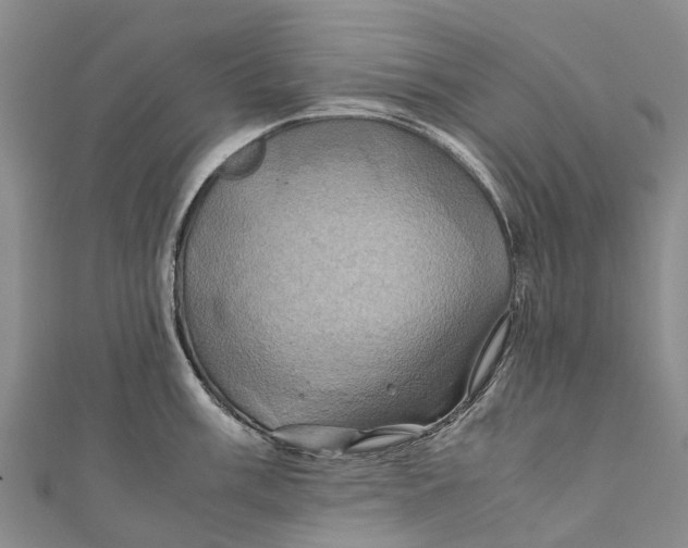 X0000110991003200907101427