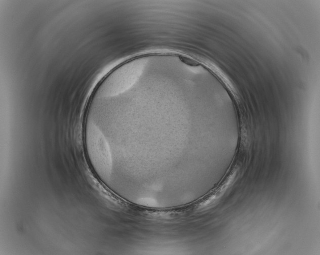 X0000110991004200907101427