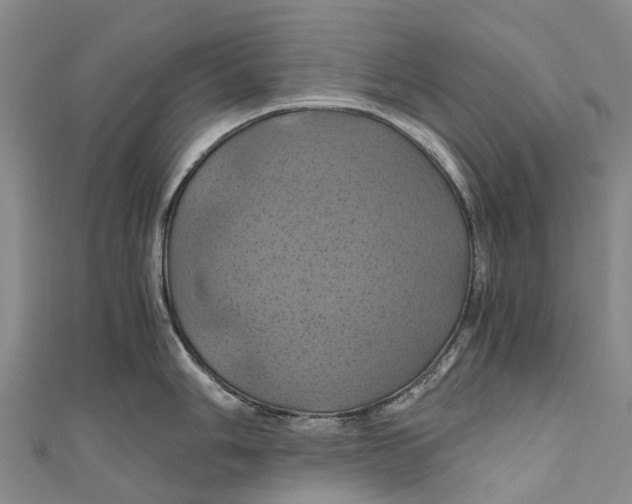 X0000110991006200907101427