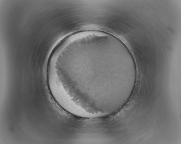 X0000110991008200907101427