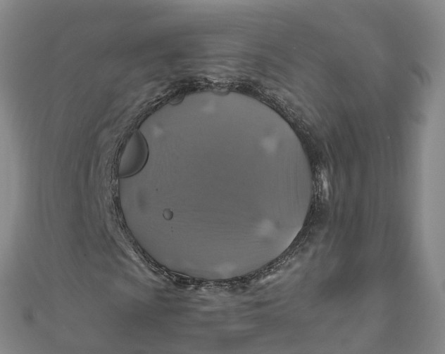 X0000110991009200907101426
