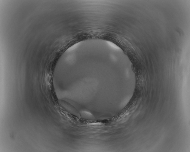 X0000110991010200907101426